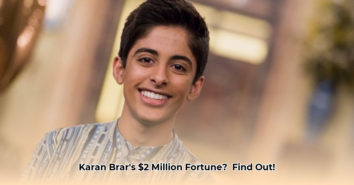 karan-brar-net-worth